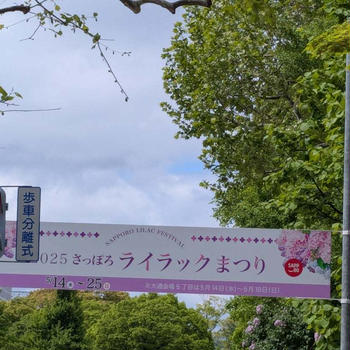⭐️ライラック祭り⭐️