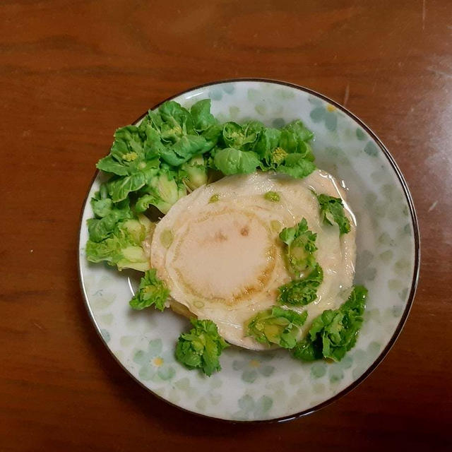 白菜の芯から、新しい芽が...