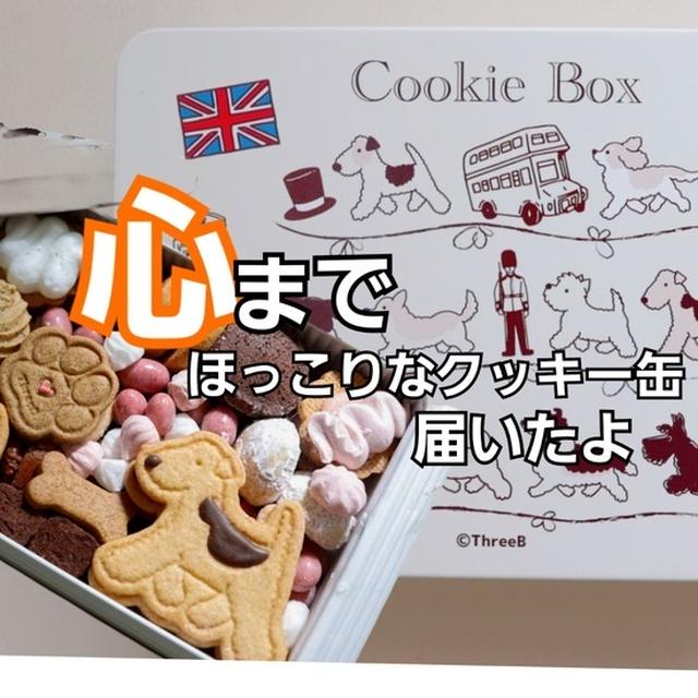 これは、“おいしい”だけじゃない。ショップの気遣いに心打たれたクッキー缶