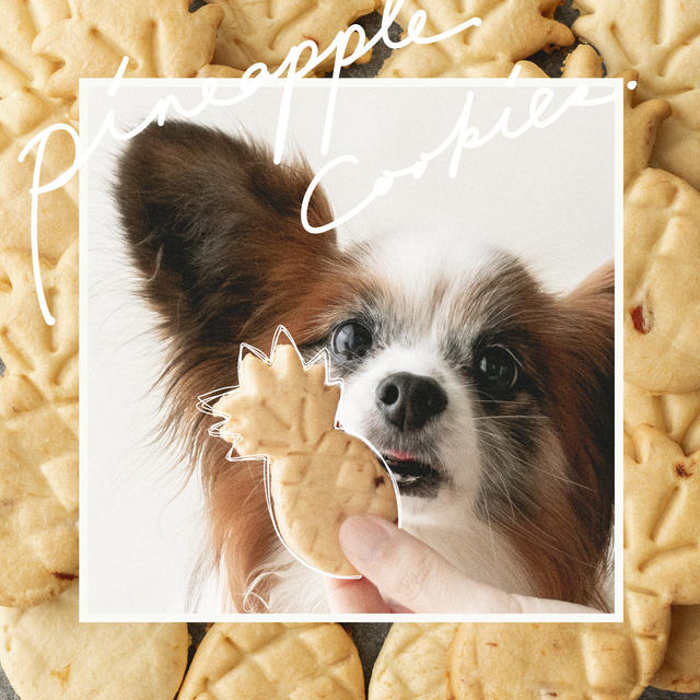 驚きのサクサク食感 犬のパイナップルクッキーの作り方 手作り犬おやつレシピ By 犬ごはん先生 いちかわあやこさん レシピブログ 料理ブログのレシピ満載