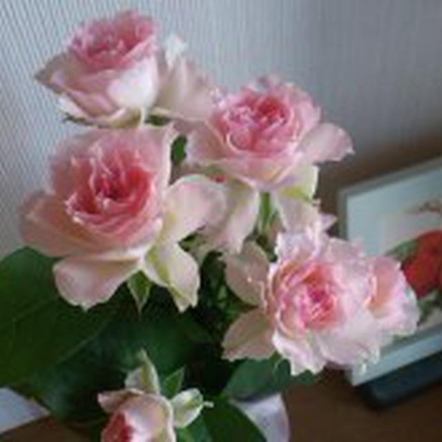 10/20 コストコ♡