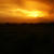 【劇空間の夕日／稲穂に群れるダイサギ】2011.9.19 座間　座架依橋下の田んぼにて。