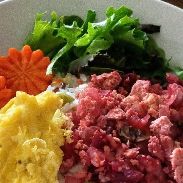 簡単ベジ晩ごはん🌱春らしいピンクの冷凍豆腐そぼろ丼💗