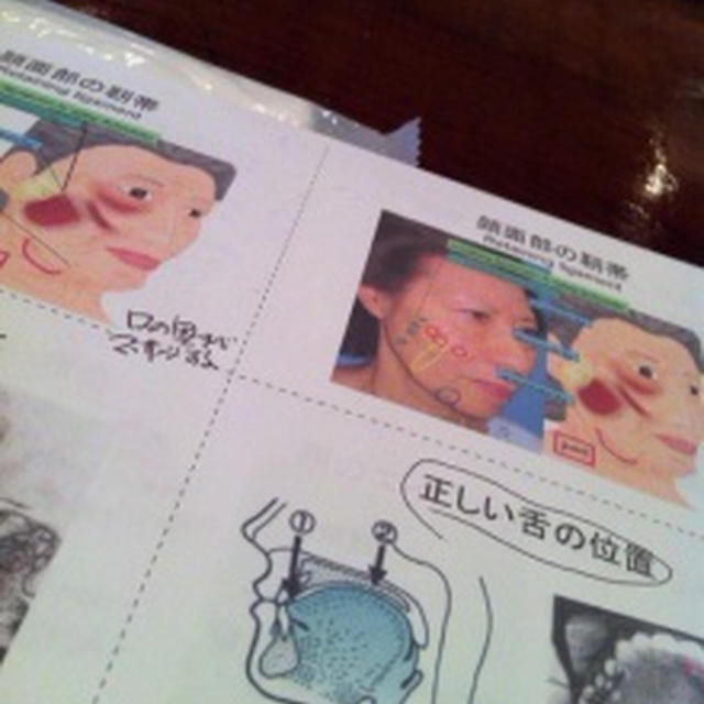 舌の位置はどこですか