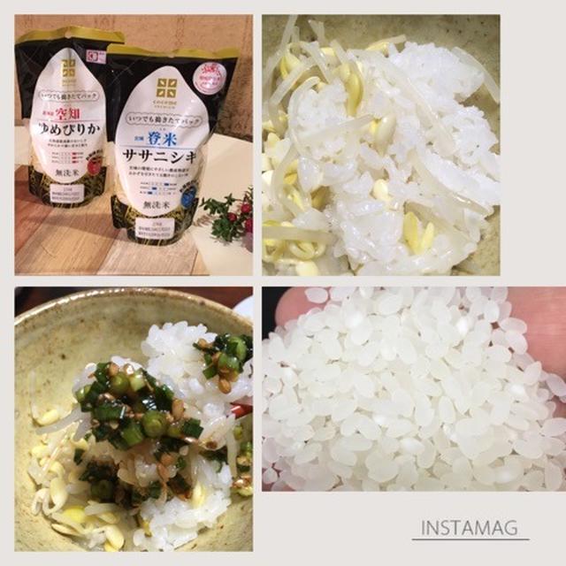 美味しいお米♡使い切り。
