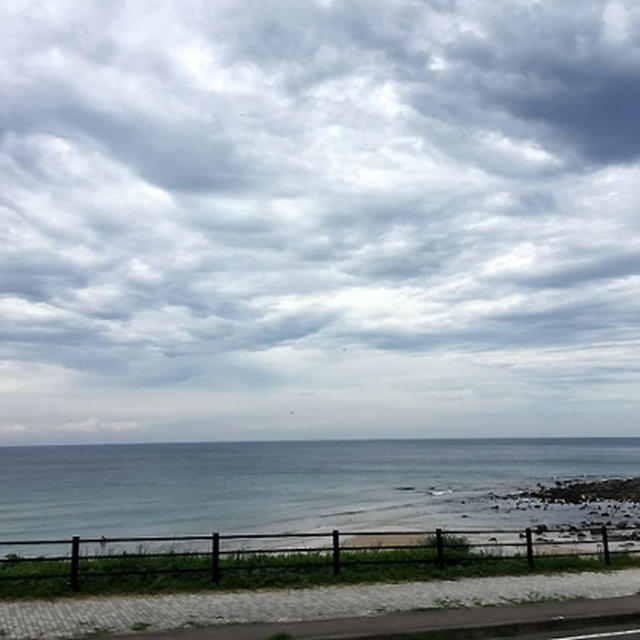 猫と糸島♪