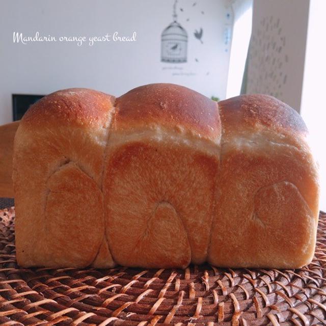 みかん酵母の食パン。２つ