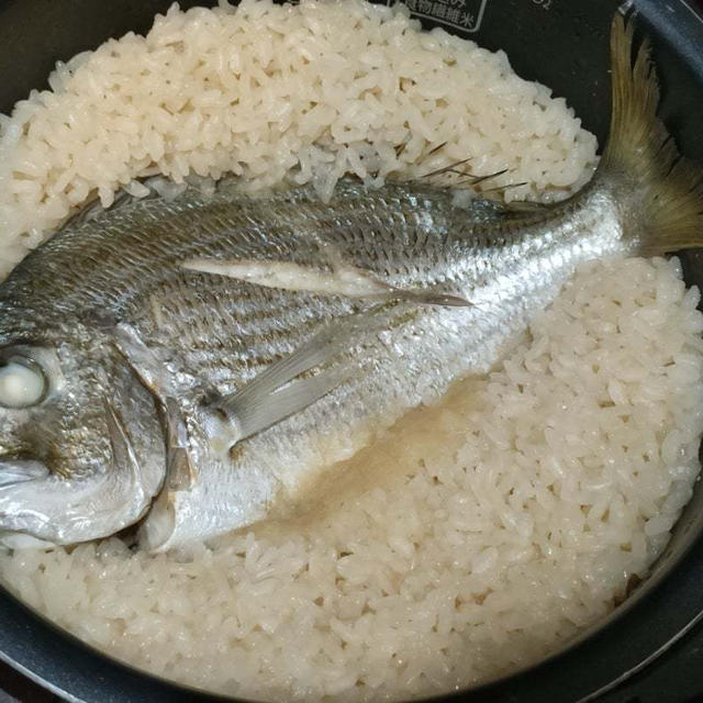 朝から鯛めしは面倒だった〜