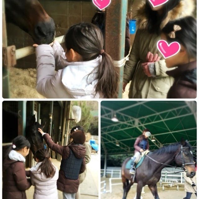 乗馬といっしー❤️リアルお馬ちゃんもやっぱり可愛い