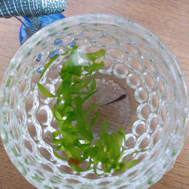 事件です...