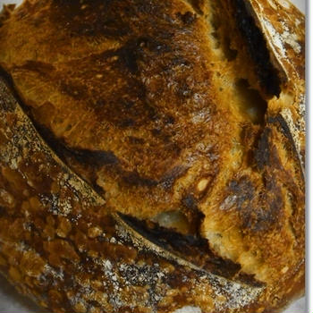 本日もバリバリ、はーどハードカンパーニュ！（パン・スイーツ部門）（料理部門）