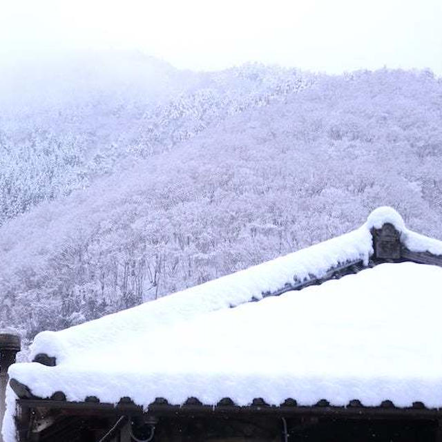 里の雪。