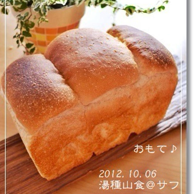 モッチリ！塩麹de湯種山食＠サフ