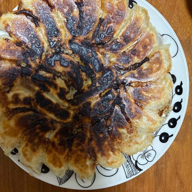 モヤシと鶏ササミの餃子