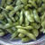 鎌倉野菜の枝豆。今年お初です♪