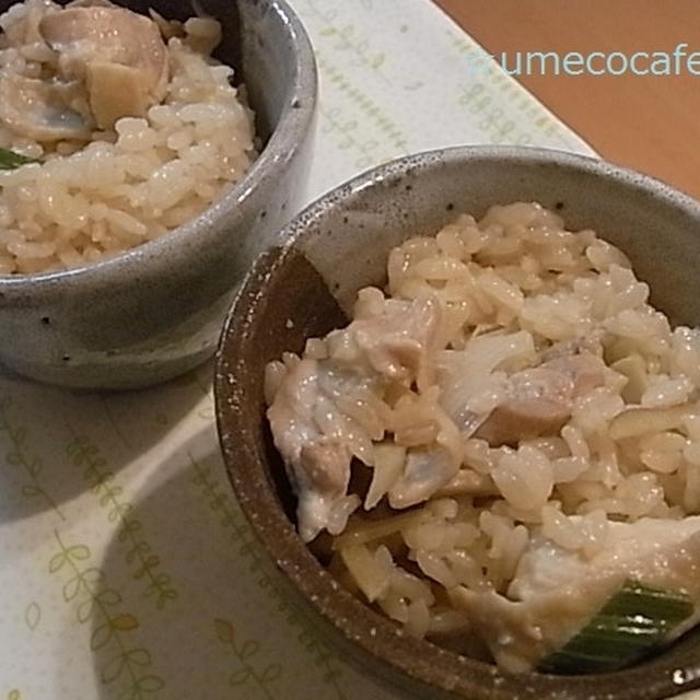 鶏肉とネギの炊き込みごはん【ビタクラフトモニター記事】