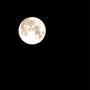 久しぶりに空を見上げた夜