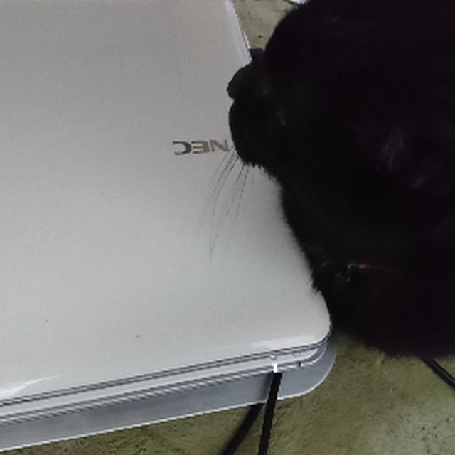あのねぇ