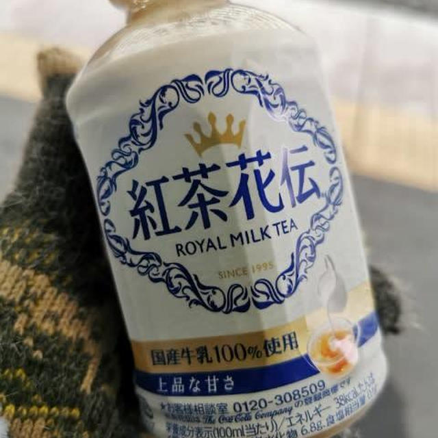 この冬お初…
