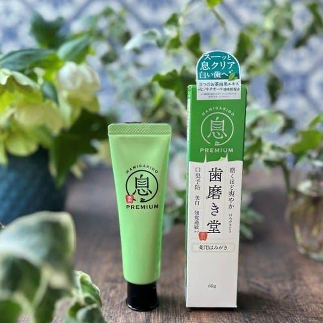 スッキリ！爽やか！歯磨き堂 フレッシュペースト