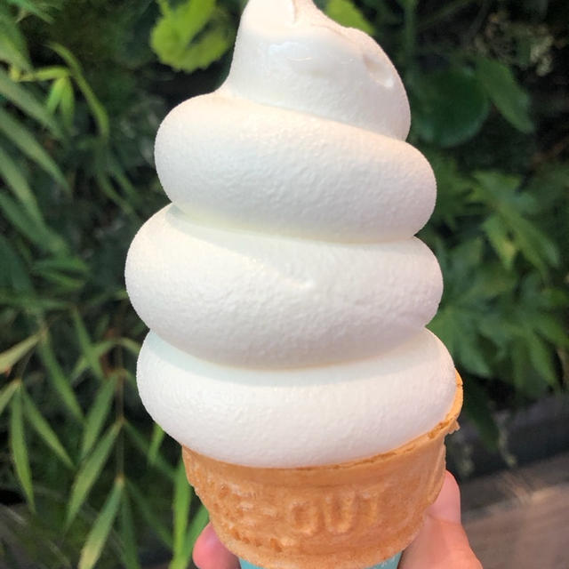かき氷とソフトクリーム、選ぶならどっち？