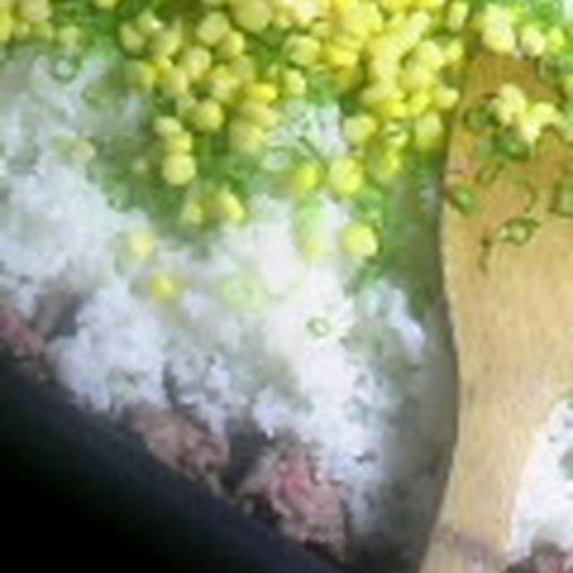 ホットプレートごはん♪