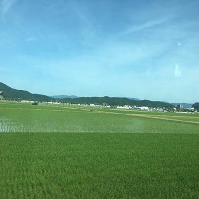 ステキな時間ー瞑想タイムー