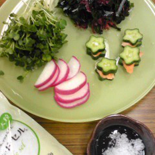 野菜を塩で楽しむ