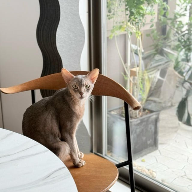 素敵な写真を、なかなか撮れない