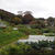 はじめての家庭菜園（11月下旬）☆ブロッコリー収穫