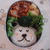 お休みくまさんのお弁当と病み上がり兄クン