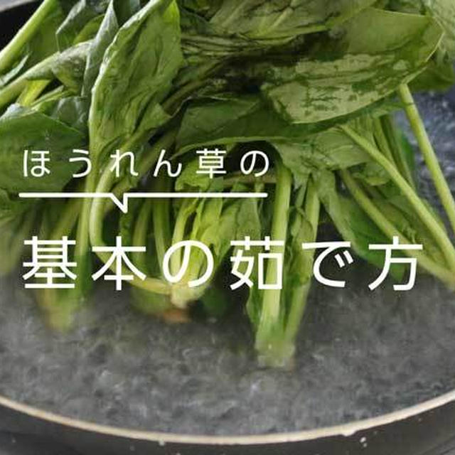 ほうれん草の基本の茹で方！食材を腐らせない保存や解凍方法も紹介