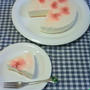桜咲くチーズケーキ　～　４月のお菓子講座