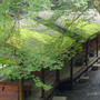 そうだ、京都行こう。高雄・川床ランチ～神護寺お散歩・かわらけ投げ。