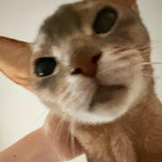 今朝のぼくちんタイム