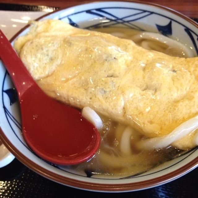 だし玉肉づつみうどん