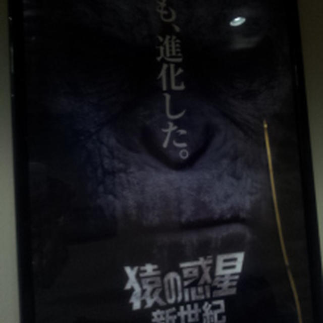 猿の惑星　試写会