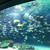 水族館とか