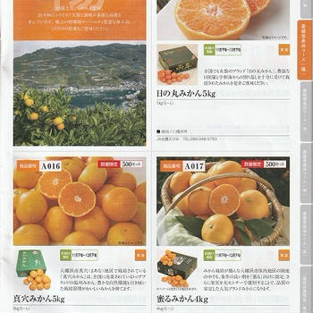 本日の優待案内　いよぎんホールディングス　愛媛の特産品