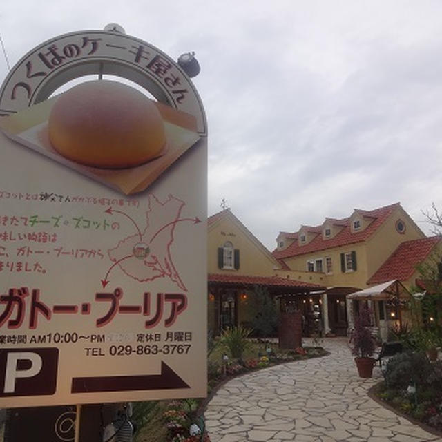 ガトー・プーリア★チーズズコット♡