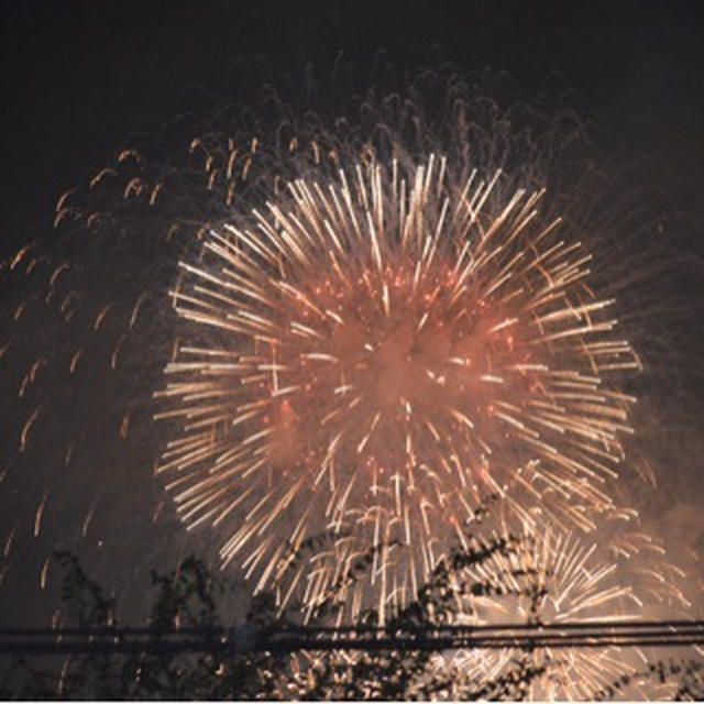 夏、2015