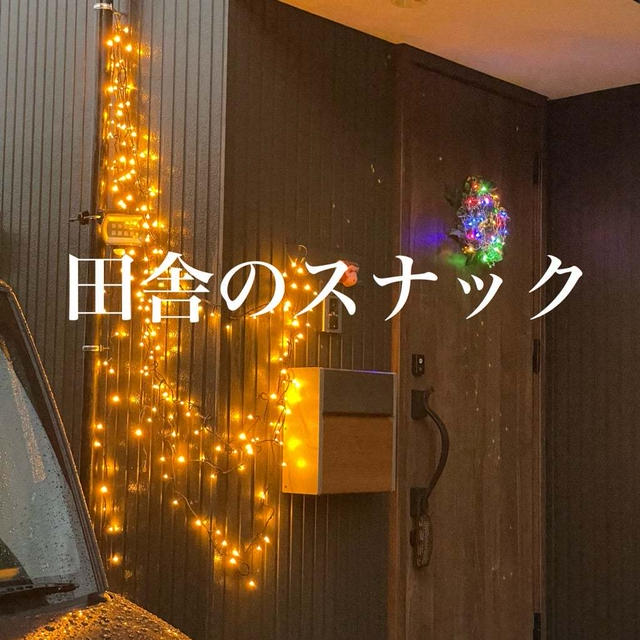 旦那のセンスの無さに愕然。田舎のスナックになった我が家のイルミネーション