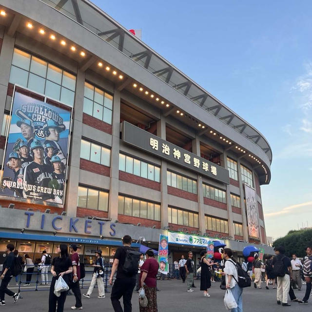 プロ野球、交流戦を観戦