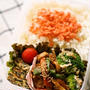 男子中学生弁当