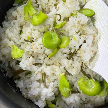 《GW10日目》旬をいただく♪そら豆ご飯☆ミリオンヒットを知らない我が子達☆