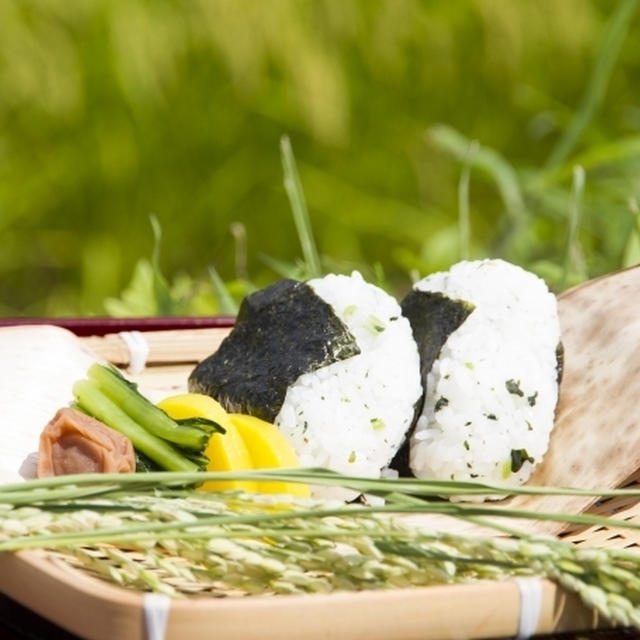 研ぎ方で変わる男性が好きなご飯の話