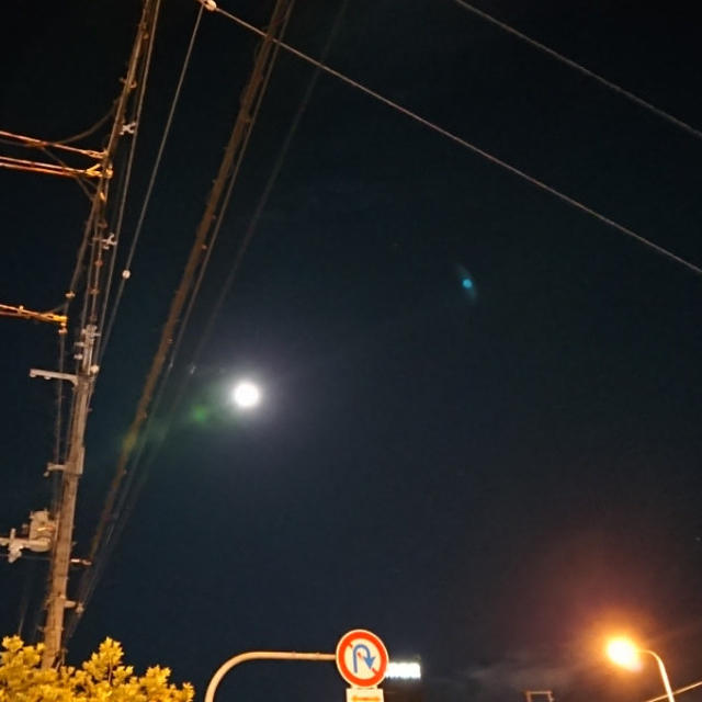 空、見た？令和元年最後の満月ですよー