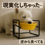 【真実にしちゃういう犬】AIが作った“ウソ画像”が、まさかの真実に！？