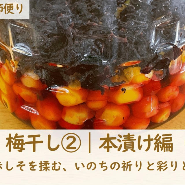 【第5回】梅干し②｜本漬け編（赤しそ）