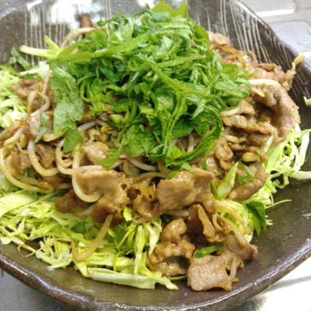 豚肉とモヤシの炒め物大葉乗せ、にら玉、麻婆豆腐。